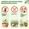 POWER HB-Nematoden gegen Dickmaulrüssler & Engerlinge, 5 Produktbild-Vorschau 2