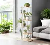 A multi-tiered plant stand filled with various potted plants is placed next to a window and a sofa in a living room. Náhľad obrázku produktu