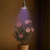 Venso EcoSolutions GrowLight Winter E27 LED lampa roślinna Podgląd zdjęcia produktu 4