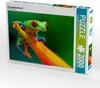 CALVENDO Puzzle Rotaugenlaubfrosch 2000 Teile Puzzle quer | Produktbild-Vorschau 2