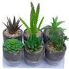 Belle Vous Kunstblumen im Topf Mini Kunstpflanzen im Topf Produktbild-Vorschau 13