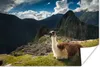 MuchoWow® Poster Alpaka - Machu Picchu - Felsen 90x60 cm - Produktbild-Vorschau 1