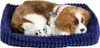 Perfect Petzzz Cavalier King Charles 96309 Produktbild-Vorschau 1