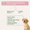 AniForte Junior Active für Welpen & Junghunde 250g - Für Produktbild-Vorschau 5