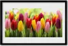 Bild 60x40 MDF-Rahmen Wandkunst Tulpen Blumen Natur Produktbild-Vorschau 1