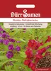 Rosen-Balsamine | Balsaminensamen von Dürr Samen Produktbild-Vorschau 3