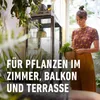 COMPO Blumendünger mit Guano 1,3 l Produktbild-Vorschau 4