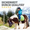 Esposita Reitgurt, Reithilfe mit zwei stabilen Ledergiffen Produktbild-Vorschau 7