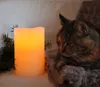 A cat is lying next to a lit LED candle with some pine branches. Podgląd zdjęcia produktu