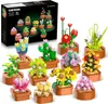 12 sukulentov Mini súpravy 1403 kusov Botanická súprava Náhľad obrázku produktu 1