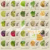 BIO Keimsprossen Adventskalender | Adventskalender von Produktbild-Vorschau 9