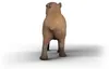 Capibara Anteprima dell’immagine prodotto 4
