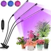 EINFEBEN Pflanzenlampe LED, 30W Vollspektrum Produktbild-Vorschau 1