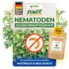 Nematoden gegen Drahtwürmer – 5 Mio. - Effektiv Drahtwürmer Produktbild-Vorschau 1