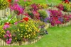 A tiered garden bed with various colorful flowers and wooden palisade edging, set against a green lawn. Produktbild-Vorschau