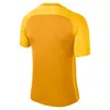 Nike Y NK DRY TROPHY III JSY SS | UNIVERSITY GOLD/TOUR Produktbild-Vorschau 2