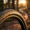Continental Race King, 26", MTB, Tubeless-Ready-Reifen, Produktbild-Vorschau 5
