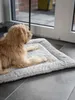 A dog is lying on a pet bed near a glass door. Voir les images du produit