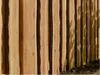 WOODTEX Lärche 180x180 cm Sichtschutzzaun, Gartenzaun aus Produktbild-Vorschau 4