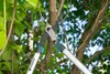 Coupe-branches EnergyCut 750B lame  franche Voir les images du produit 15
