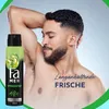 FA Deospray Men Speedster 150ml, 12x 150 ml Produktbild-Vorschau 4