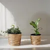 2er Set Blumentopf aus Seegras rund mit Kunststoffeinsatz Produktbild-Vorschau 4