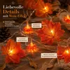 Lichterkette für den Herbst – 300 cm – 20 LEDs – Produktbild-Vorschau 4