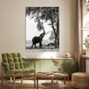 MuchoWow® Poster Elefant - Baum - Tiere - Schwarz und weiß Produktbild-Vorschau 3