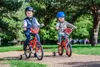 Bicicletta per bambini 12 pollici Cars Disney per ragazzo Anteprima dell’immagine prodotto 14