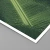 Poster - Poster ohne Rahmen - Makro Blatt Tropfen - 40x40 Produktbild-Vorschau 2