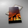 Bild auf Leinwand - Leinwandbild - Giraffe Afrika Sonne Produktbild-Vorschau 2