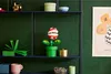 Piraňová rostlina Náhled obrázku produktu 29