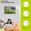 ARTland Leinwandbild Reetdachhaus auf Sylt im Frühling Produktbild-Vorschau 2