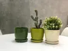 Three potted plants on a white table against a gray textured wall. Náhled obrázku produktu