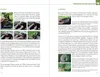 Der Schildkröten-Gärtner - Naturnahe Ernährung Europäischer Voir les images du produit 5
