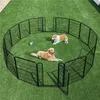 Two dogs are playing in a fenced-in outdoor area. Podgląd zdjęcia produktu