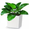 Blumentopf mit Einsatz Übertopf Pflanzentopf Kräutertopf Produktbild-Vorschau 11