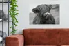 MuchoWow® - Leinwandbilder - Schottischer Highlander leckt Produktbild-Vorschau 2