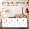 KÖNIGHAUS Infrarotheizung P1000 Produktbild-Vorschau 5