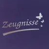 Idena 20102 Idena Zeugnismappe DIN A4, 12 Hüllen Anteprima dell’immagine prodotto 5