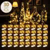 LED Mini-Lichterkette – 30er Set, je 2 m, 20 LEDs, Produktbild-Vorschau 1