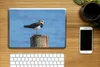 MuchoWow® Laptop Aufkleber Sticker Cover Vogel - Tiere - Produktbild-Vorschau 2