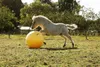 Maximus Power Play Ball gelb, Durchmesser: 65 cm Produktbild-Vorschau 6