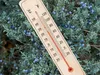 Verk 07185 Thermomètre d'extérieur 22 cm en bois Voir les images du produit 7