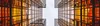 AOC P1 X24P1/GR - 61 cm (24 Zoll) - 1920 x 1200 Pixel - Produktbild-Vorschau 2