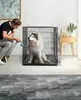 Lionto transportkooi voor dieren, inklapbare metalen kooi Productafbeelding-voorbeeld 2