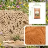 Terra Exotica Lehmpulver canyonrot 5 kg - versch. Farben Produktbild-Vorschau 6