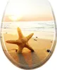 A starfish on a sandy beach at sunset. Náhled obrázku produktu