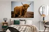 MuchoWow® Poster Schottischer Highlander - Düne - Gras Produktbild-Vorschau 4