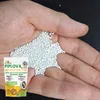 ECODECO Mikroklee Samen 500g Weiß Klee Beschichtete Clover Produktbild-Vorschau 16